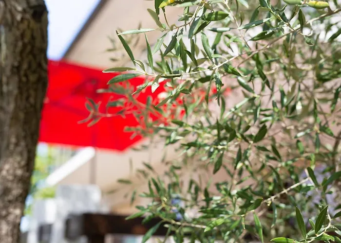 Appartamento Ljerka *